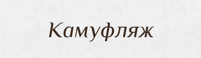 Камуфляж — Тлумачний словник української мови