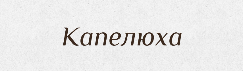 Капелюха — Тлумачний словник української мови
