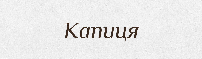 Капиця — Тлумачний словник української мови