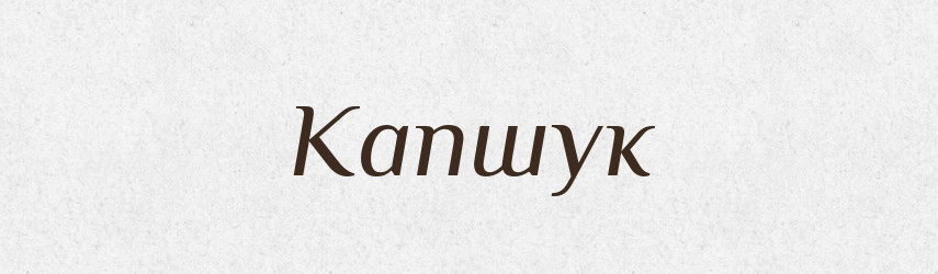 Капшук — Тлумачний словник української мови