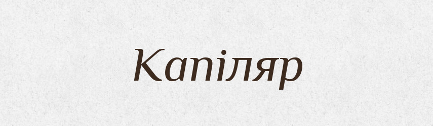 Капіляр — Тлумачний словник української мови