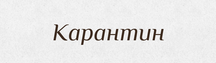 Карантин — Тлумачний словник української мови