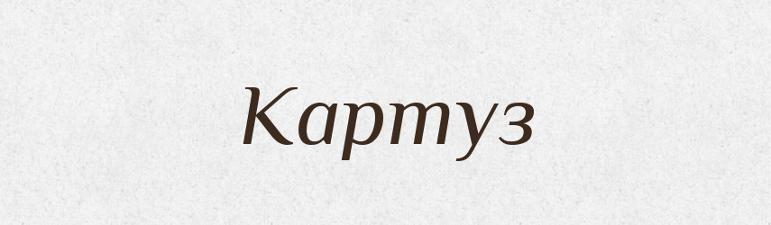 Картуз — Тлумачний словник української мови