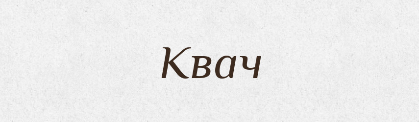 Квач — Тлумачний словник української мови