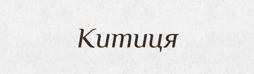 Китиця — Тлумачний словник української мови