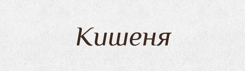 Кишеня — Тлумачний словник української мови