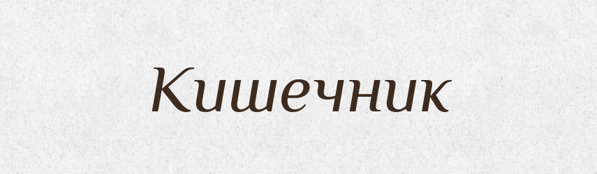 Кишечник — Тлумачний словник української мови