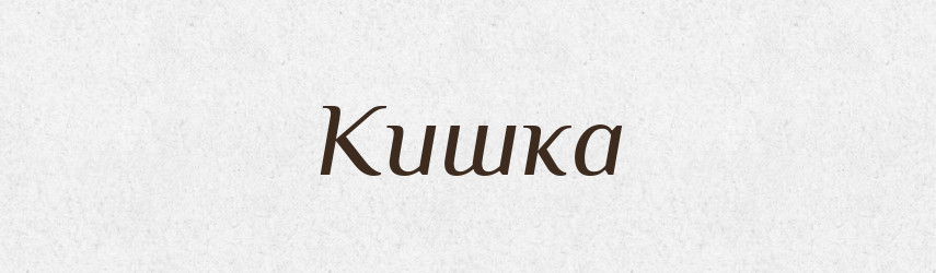 Кишка — Тлумачний словник української мови