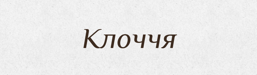 Клоччя — Тлумачний словник української мови