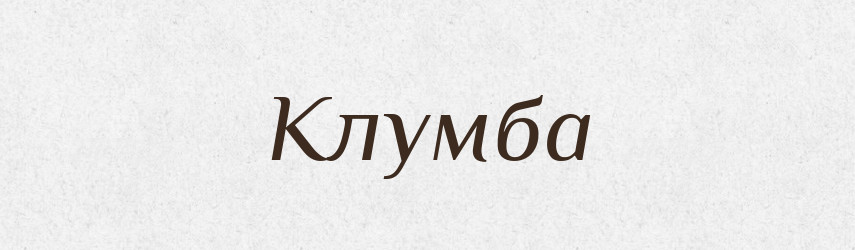 Клумба — Тлумачний словник української мови
