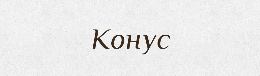 Конус — Тлумачний словник української мови