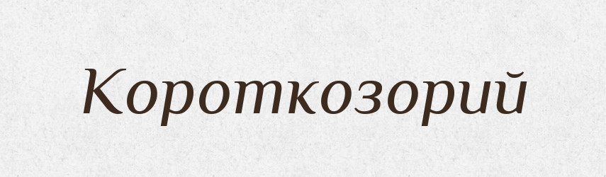Короткозорий — Тлумачний словник української мови
