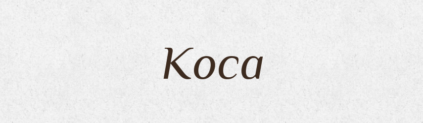 Коса — Тлумачний словник української мови