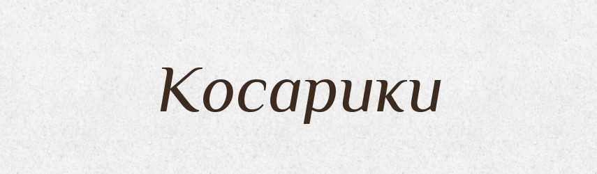 Косарики — Тлумачний словник української мови