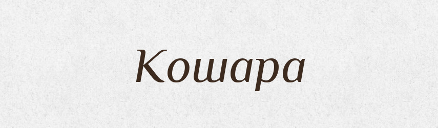 Кошара — Тлумачний словник української мови
