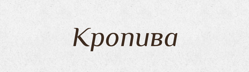 Кропива — Тлумачний словник української мови