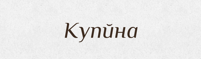 Купйна — Тлумачний словник української мови