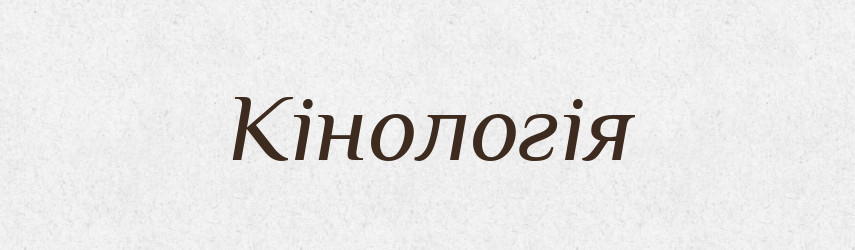 Кінологія — Тлумачний словник української мови