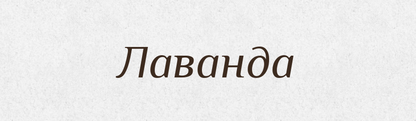 Лаванда — Тлумачний словник української мови
