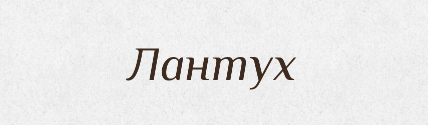 Лантух — Тлумачний словник української мови