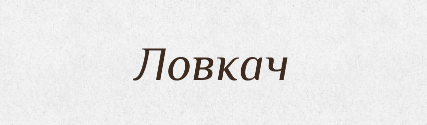 Ловкач — Тлумачний словник української мови