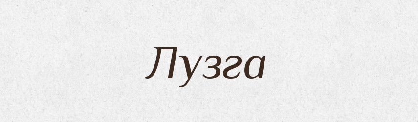 Лузга — Тлумачний словник української мови