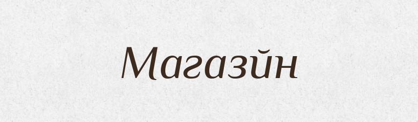 Магазйн — Тлумачний словник української мови