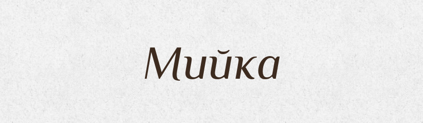 Мийка — Тлумачний словник української мови