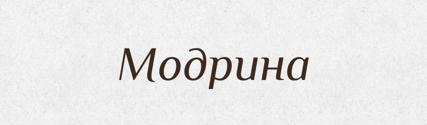 Модрина — Тлумачний словник української мови