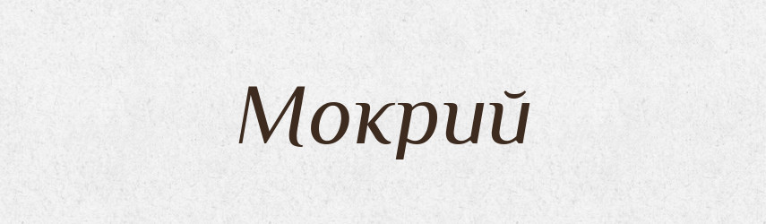 Мокрий — Тлумачний словник української мови