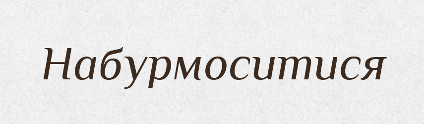Набурмоситися — Тлумачний словник української мови