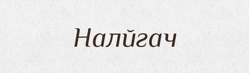 Налйгач — Тлумачний словник української мови