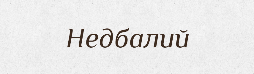 Недбалий — Тлумачний словник української мови
