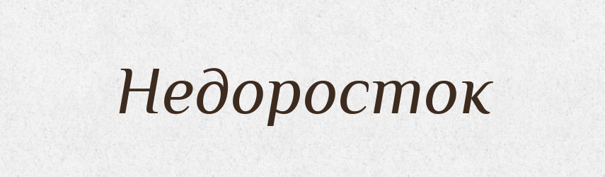 Недоросток — Тлумачний словник української мови