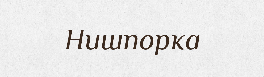 Нишпорка — Тлумачний словник української мови