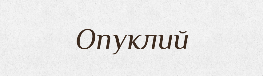 Опуклий — Тлумачний словник української мови