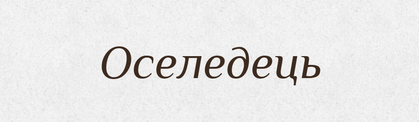 Оселедець — Тлумачний словник української мови