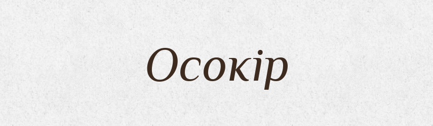 Осокір — Тлумачний словник української мови