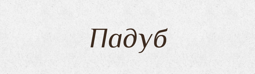 Падуб — Тлумачний словник української мови