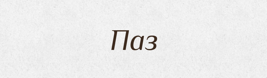 Паз — Тлумачний словник української мови