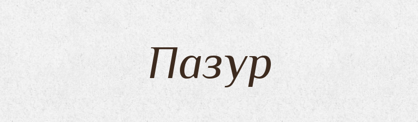 Пазур — Тлумачний словник української мови