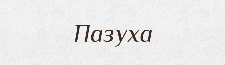 Пазуха — Тлумачний словник української мови