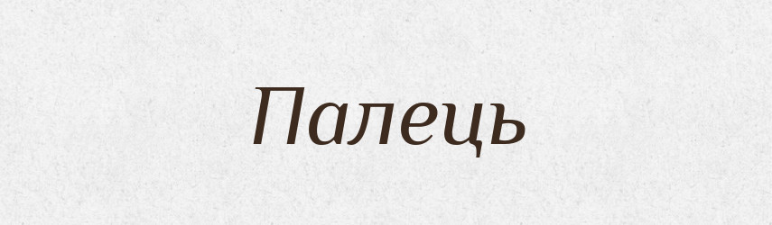 Палець — Тлумачний словник української мови