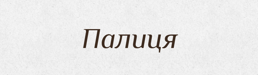 Палиця — Тлумачний словник української мови