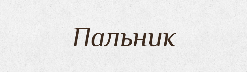 Пальник — Тлумачний словник української мови