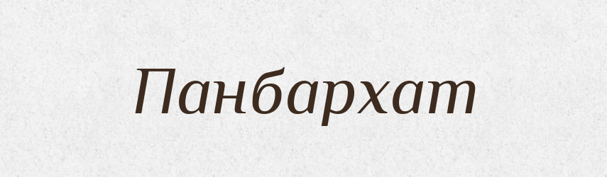 Панбархат — Тлумачний словник української мови