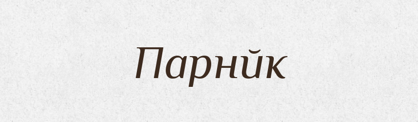 Парнйк — Тлумачний словник української мови