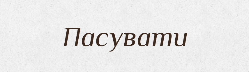 Пасувати — Тлумачний словник української мови