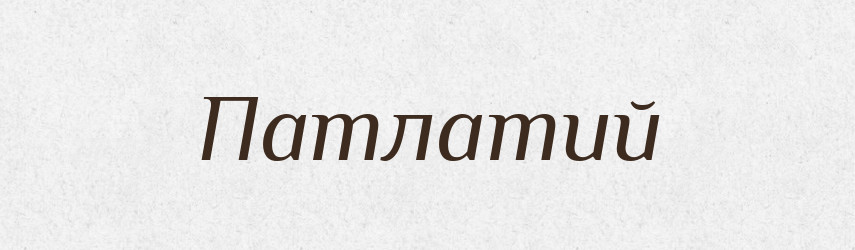 Патлатий — Тлумачний словник української мови