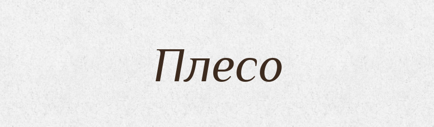 Плесо — Тлумачний словник української мови